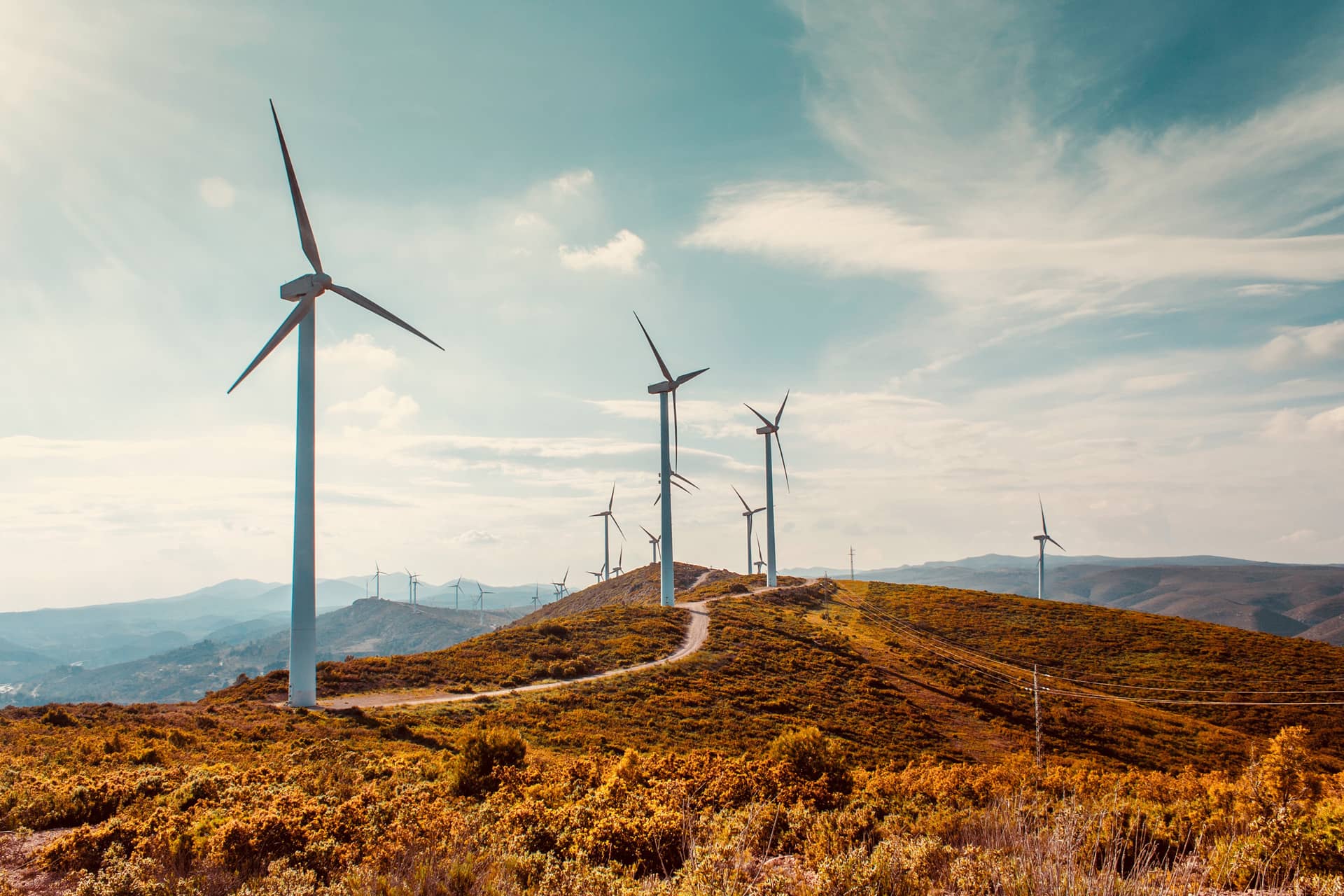 Un año más de espera para que despegue la energía eólica a gran escala