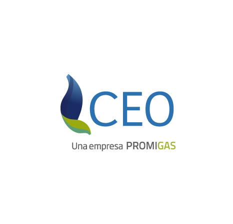 COMPAÑÍA ENERGÉTICA S.A.S. ESP