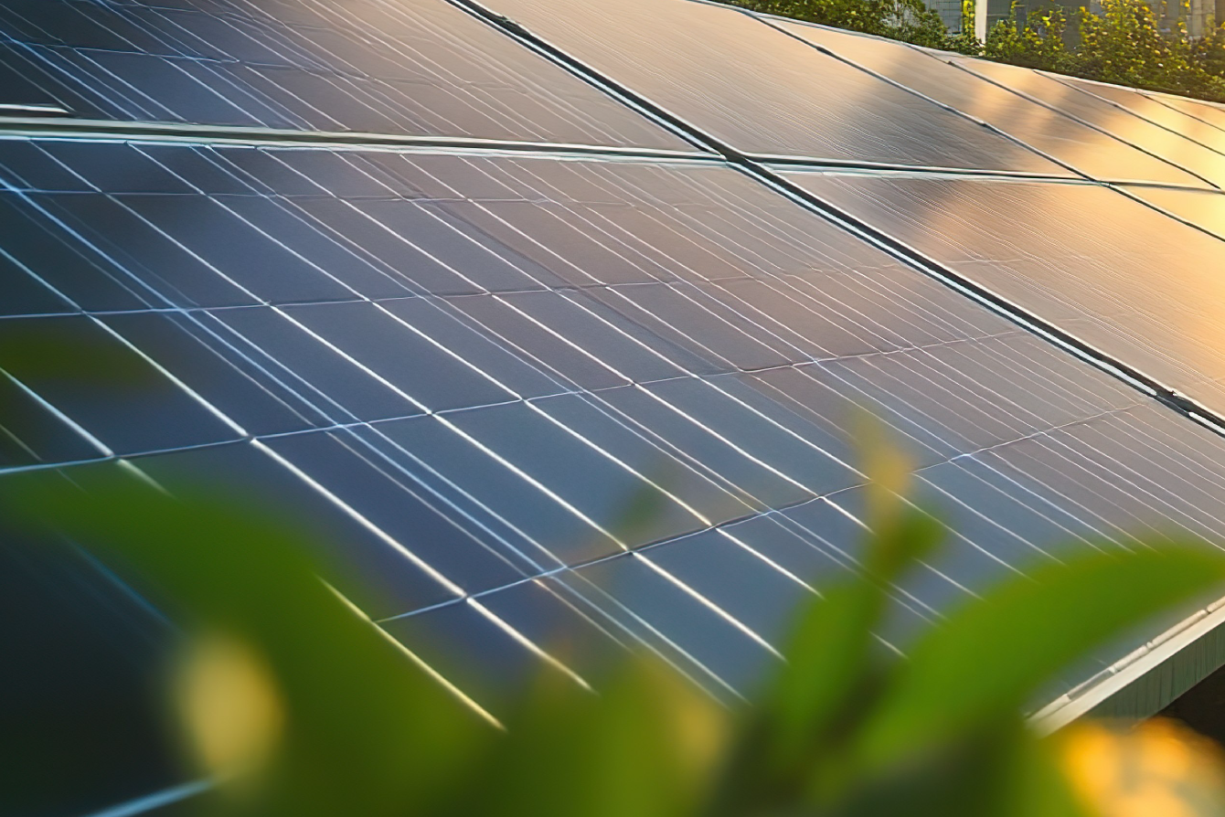 Parque Fotovoltaico La Orquídea 200MW en el departamento de Bolívar, obtuvo licencia ambiental por parte de ANLA