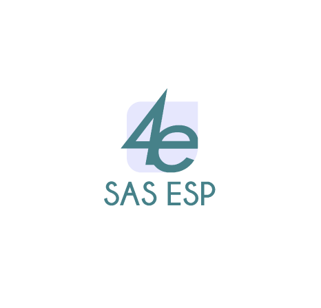 4E GROUP S.A.S. E.S.P.